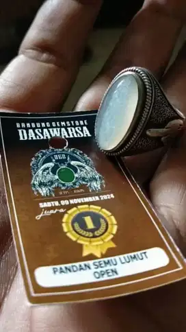Batu Pandan Semu Lumut Juara 1 Bukan Bacan