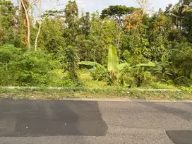 Tanah Pekarangan Bagus Murah di Gamping Sleman TP 131