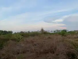 Tanah Raya Trowulan