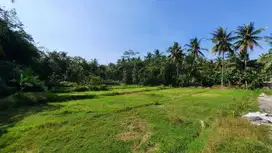 Tanah Murah Jogja Sentolo 90 jt-an, dekat RSUD Nyi Ageng Serang, SHM