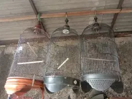 Jual Kandang Kapsul /Kotak