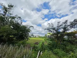 Tanah dekat UMM Malang cocok untuk bangun rumah kost premium