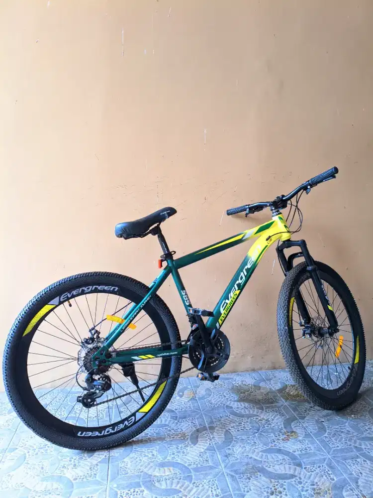 Sepeda mtb Evergreen 585