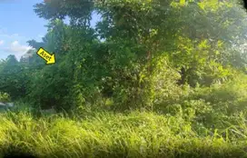 Dijual Tanah Makassar sekitar Sudiang, Jalan Perintis Kemerdekaan