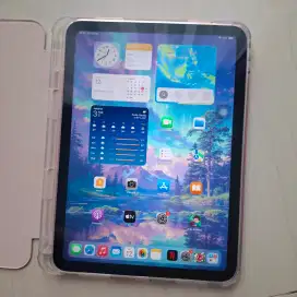 Ipad gen 10 wifi 64GB pink