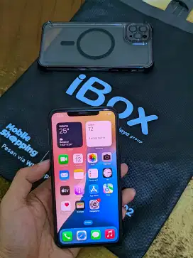 iPhone 11 Pro Max 256 iBox