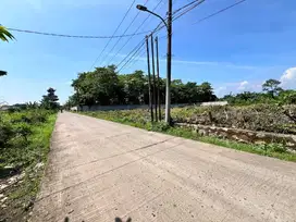 Tanah Kavling Murah di Cisauk, Cocok Hunian/Usaha