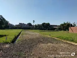 tanah murah dekat UIN,UNSUD ,alun2