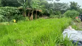 Tanah Strategis Di Sawangan Free SHM Cocok Untuk Investasi