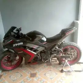 Kawasaki ninja 250R