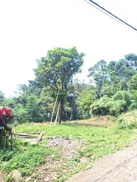 Jual Tanah Murah 922 m2