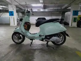 Vespa primavera green relax