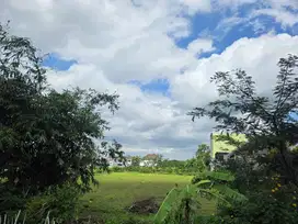 TANAH SHM COCOK UNTUK BANGUN KOS SELANGKAH UMM MALANG