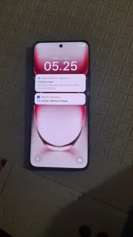Oppo reno 12 ram 12