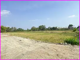 Dekat UNISA, STPN & UMY Tanah Pekarangan SHM Siap Bangun