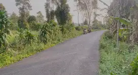 Tanah KebunCengkeh dan Manggis 8300 m2 Bojong Purwakarta Dijual Murah