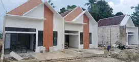 survei sekarang bonus harga hingga 100jt