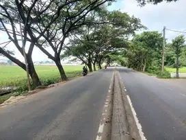 Tanah Stategis Cocok Untuk Pergudangan Atau Kantor Di Neglasari