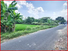 Dekat Stadion Maguwoharjo, Tanah Jogja Untuk Rumah