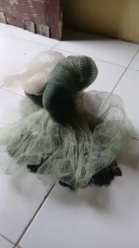 Jual jalan udang