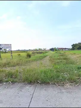 Tanah Kavling Dekat Waterpark Di Desa Tanggungsari Ketanggungan Brebes