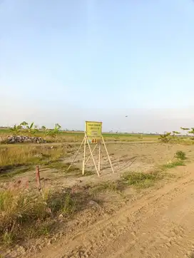 Tanah Kavling Dekat PT Jia Wei Di Desa Padakaton Ketanggungan Brebes