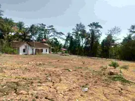 Dekat SMPN 2 Moyudan, Tanah Jogja, Peruntukan Hunian Asri