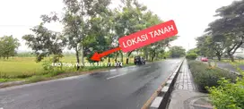 Tanah MURAH di Jalan ByPass BIL dekat Bundaran Gerung