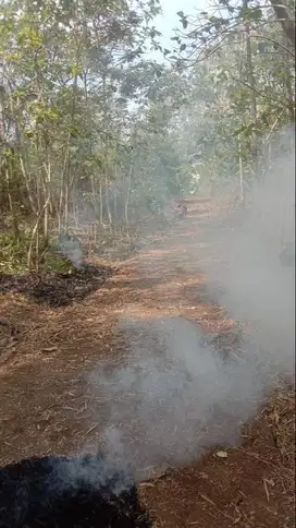 Butuh Laku Jual Tanah Ds Melikan Balu Selangkah Pasar Kedawung Sragen