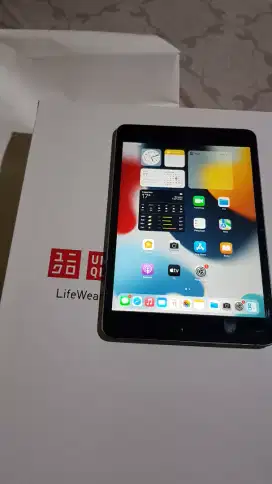Ipad Mini 4 16gb Wifi Only