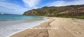 Dijual Tanah Tepi Pantai di Pantai Are Guling Lombok