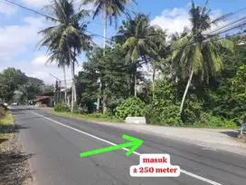 Tanah Dijual dekat Tugu pensil , Sentolo, Kulon Progo