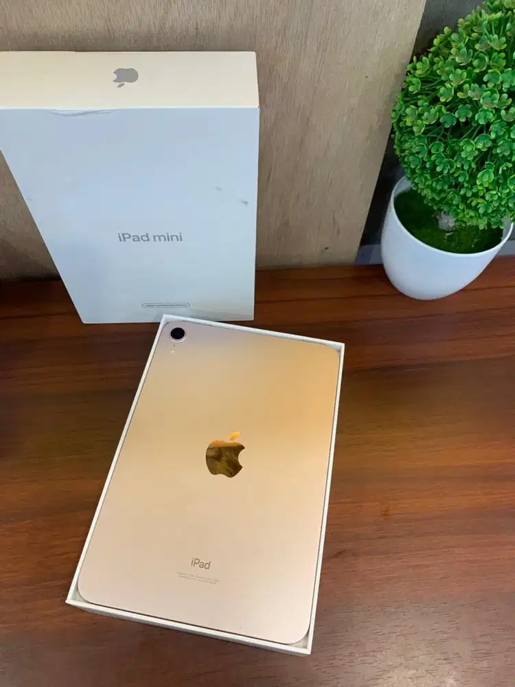 Apple iPad Mini 6 64GB Pink Lengkap