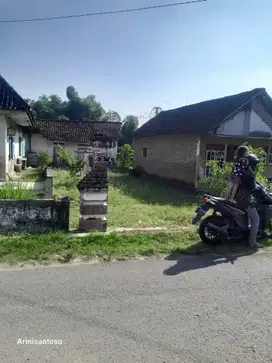 Beli tanah bonus rumah nol jalan