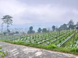 Tanah Pekarangan View tanpa Terhalang, Kemuning Karanganyar