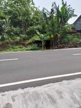 Tanah Strategis 223m Pinggir Jalan Raya Kedawung Sragen