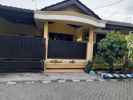 SiJUAL RUMAH PERUMAHAN TAMAN PINANG INDAH SIDOARJO KOTA  L