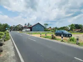Dijual Tanah Kavling Akses Jalan Utama Sidokarto Godean, Dekat Kampus