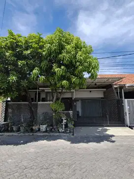 Dijual Rumah Kutisari Indah dekat Jemursari