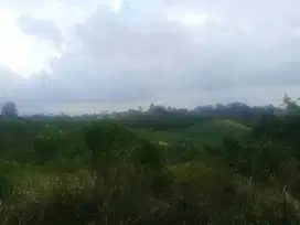 Lahan seluas 46 ha dijual cocok untuk pertanian