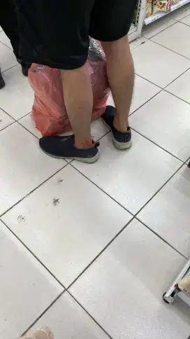 Host Live Shopi