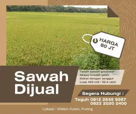 Sawah Produktif