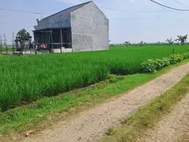 Dijual tanah dekat KIIC dan kereta cepat Karawang