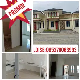 Rumah Cluster One Gate Lokasi Hangtuah