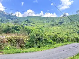 Tanah Strategis Bangun Villa, Homestay, Cafe Kemuning Karanganyar