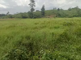 Di jual murah lhan tanah darat ples sawah lt 1300 mtr lebih