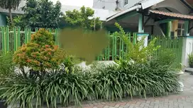 Dijual rumah tenggilis mejoyo surabaya