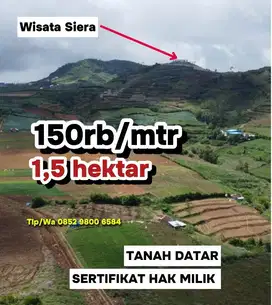 JUAL TANAH DEKAT WISATA SIERA MALINO, TANAH DATAR 1,5 HEKTAR