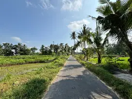Dijual tanah shm di timur lapangan grogolan