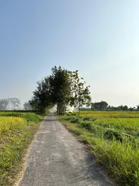 Dijual tanah di selatan rumah sakit mitra para medika ngemplak